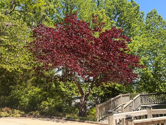 197 Eagles View Road, Hayesville, NC 28904