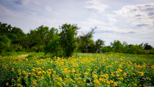 250 County Road 241, Hondo, TX 78861
