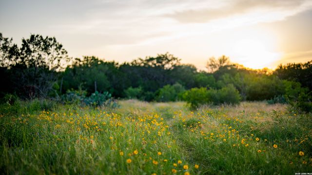 250 County Road 241, Hondo, TX 78861