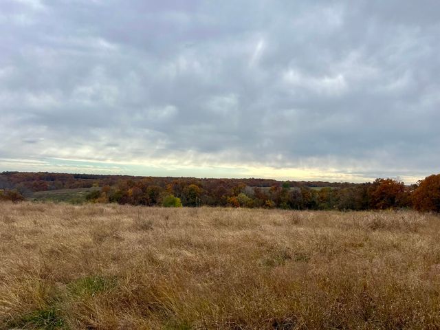 308 State Highway H, Elkland, MO 65644