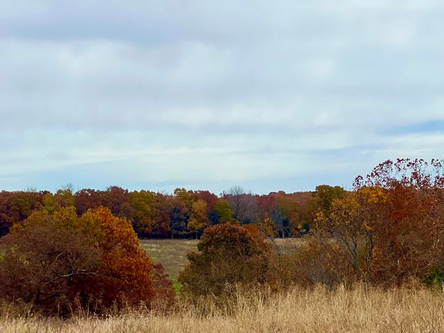 308 State Highway H, Elkland, MO 65644