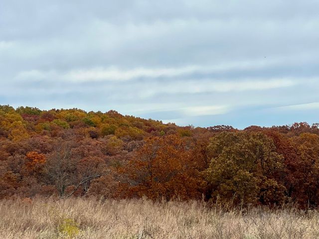 308 State Highway H, Elkland, MO 65644