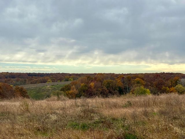 308 State Highway H, Elkland, MO 65644