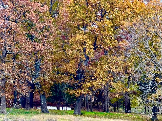 308 State Highway H, Elkland, MO 65644