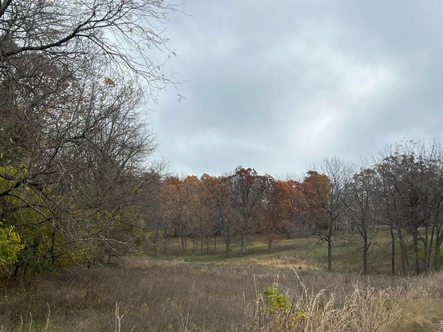 308 State Highway H, Elkland, MO 65644