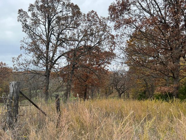 308 State Highway H, Elkland, MO 65644