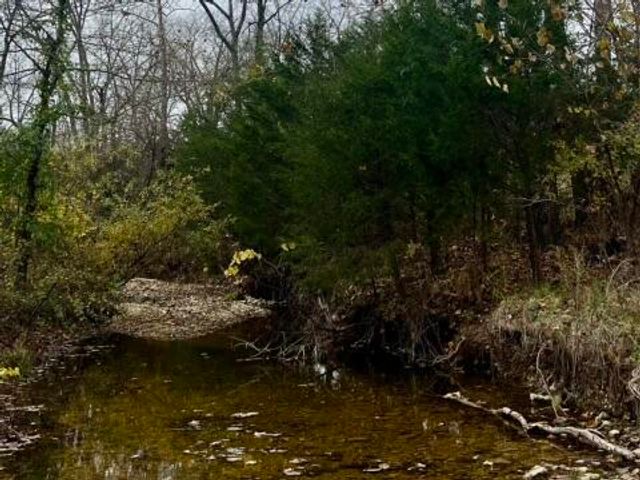 308 State Highway H, Elkland, MO 65644