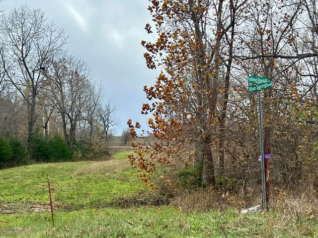 308 State Highway H, Elkland, MO 65644