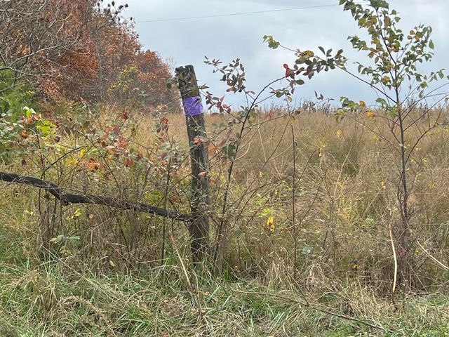 308 State Highway H, Elkland, MO 65644