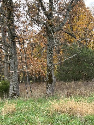 308 State Highway H, Elkland, MO 65644