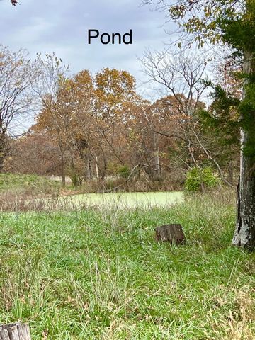 308 State Highway H, Elkland, MO 65644