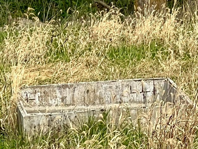 308 State Highway H, Elkland, MO 65644