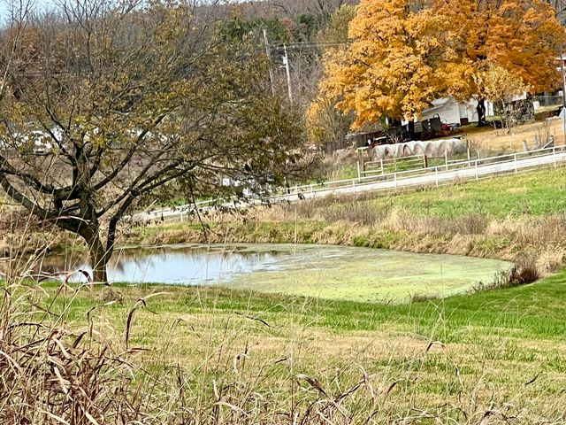 308 State Highway H, Elkland, MO 65644