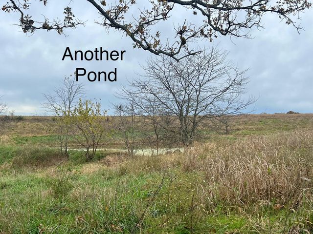 308 State Highway H, Elkland, MO 65644