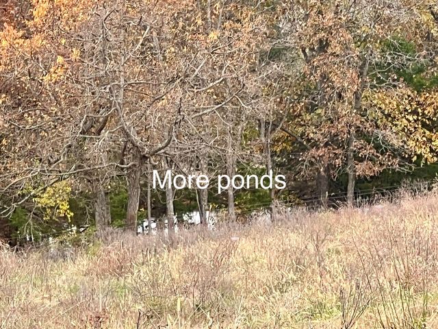 308 State Highway H, Elkland, MO 65644