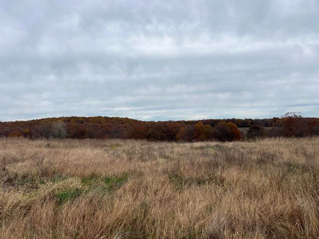 308 State Highway H, Elkland, MO 65644