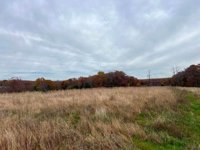 308 State Highway H, Elkland, MO 65644