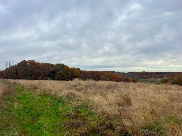 308 State Highway H, Elkland, MO 65644