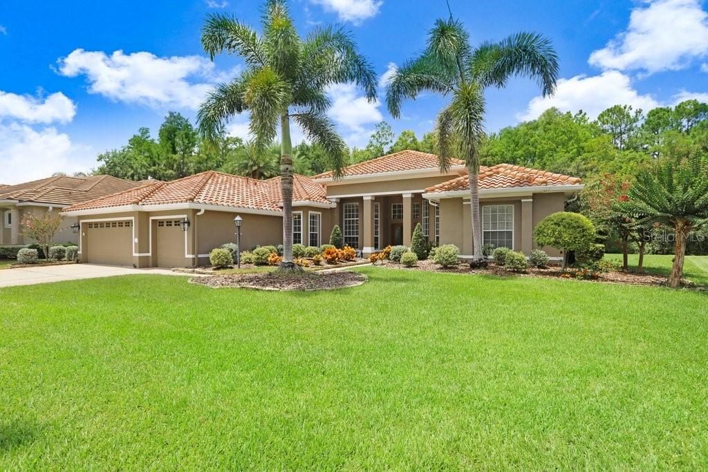 12029 BREWSTER DRIVE, Tampa, FL 33626