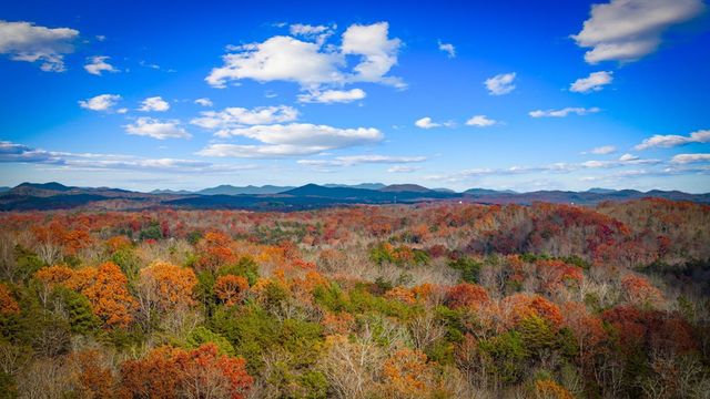 290 Weaver Creek Overlook, Blue Ridge, GA 30513