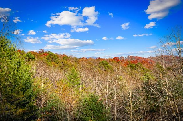 290 Weaver Creek Overlook, Blue Ridge, GA 30513