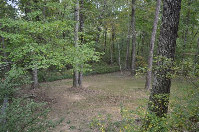 71 Miller Cove Circle, Signal Mountain, TN 37377
