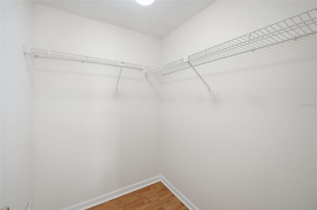 15602 FARNSWORTH LANE, Tampa, FL 33624