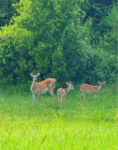 1951 TARRAGON LANE, New Port Richey, FL 34655