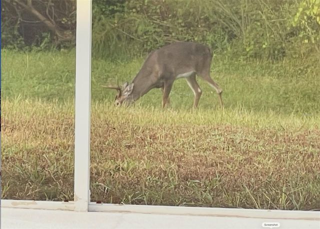 1951 TARRAGON LANE, New Port Richey, FL 34655