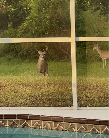 1951 TARRAGON LANE, New Port Richey, FL 34655