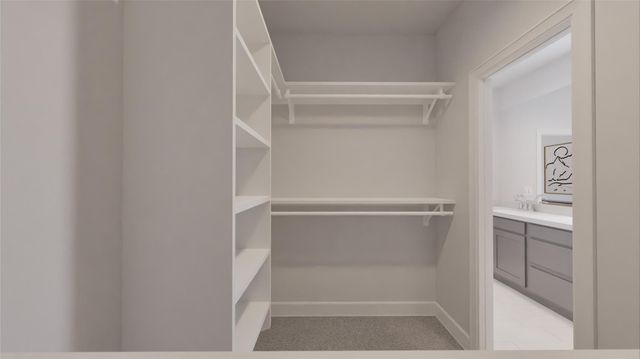 29515 Pondview Drive, Waller, TX 77484