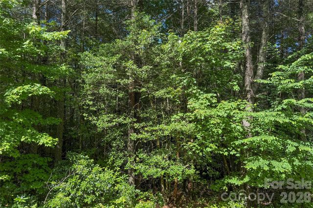 G25 Bailey Lane G25, Sapphire, NC 28774