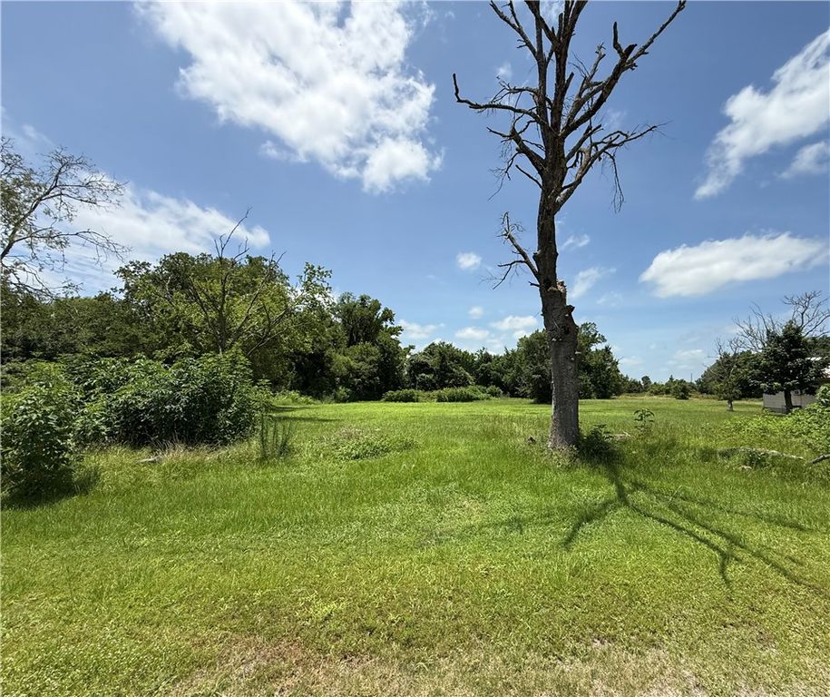 tbd Martin Lane, Franklin, TX 77856 — photo 5