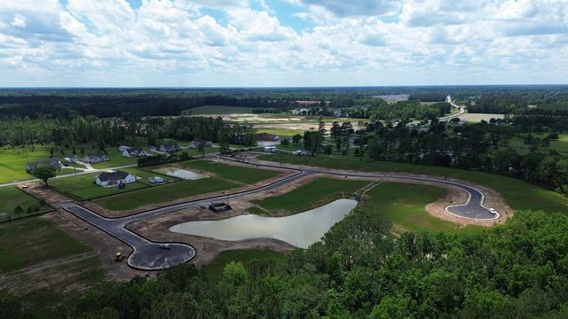 204 Squirrel Run Dr., Conway, SC 29526