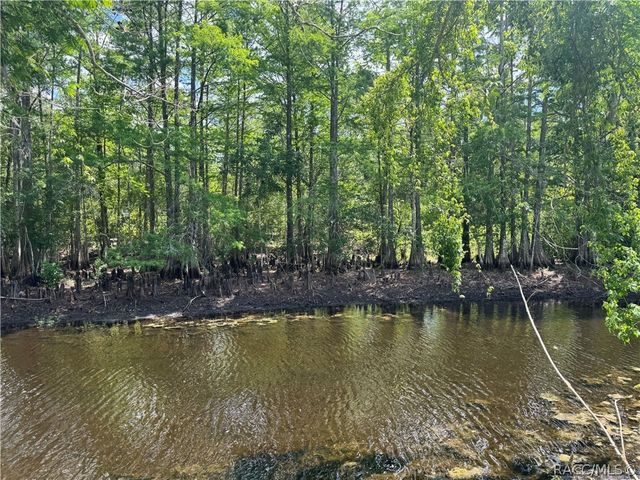 10500 E gobbler Drive, Floral City, FL 34436