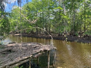 10500 E gobbler Drive, Floral City, FL 34436