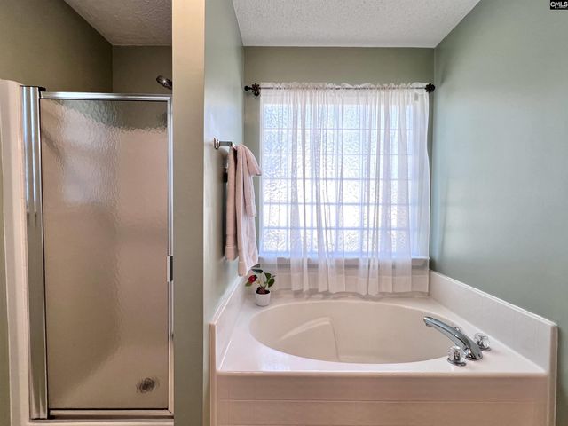 275 Siddington Way, Lexington, SC 29073