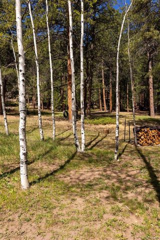 177 Cedar Drive, Lyons, CO 80540
