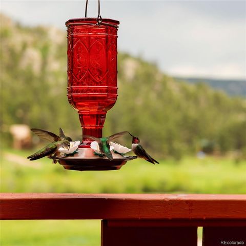177 Cedar Drive, Lyons, CO 80540