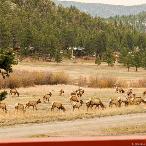 177 Cedar Drive, Lyons, CO 80540
