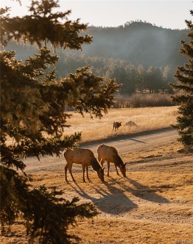 177 Cedar Drive, Lyons, CO 80540