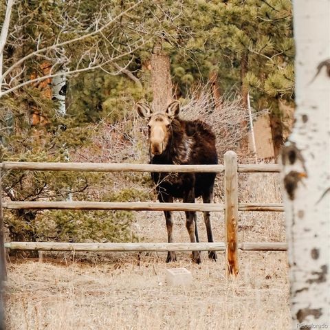 177 Cedar Drive, Lyons, CO 80540