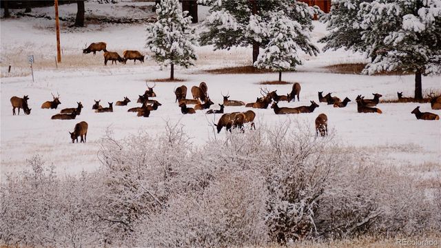 177 Cedar Drive, Lyons, CO 80540