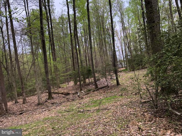 9045 GENEVIEVE DR, White Plains, MD 20695