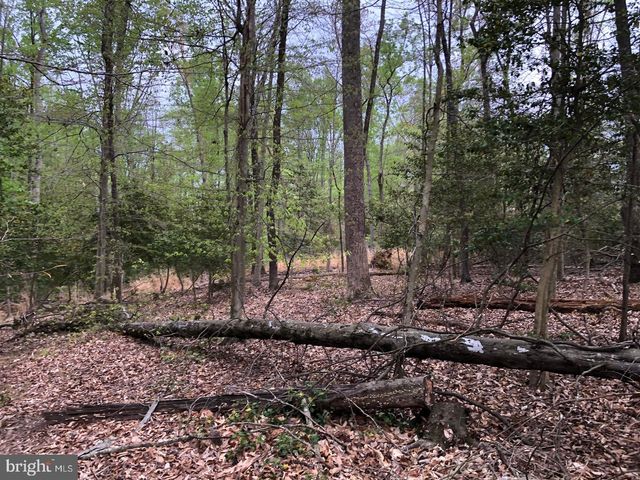 9045 GENEVIEVE DR, White Plains, MD 20695