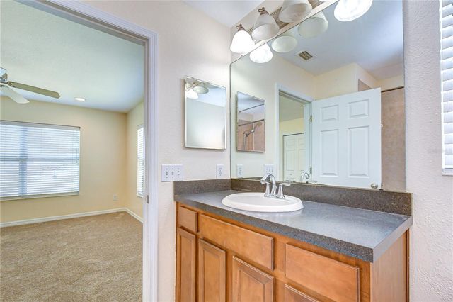 6919 TOWERING SPRUCE DR, Riverview, FL 33578
