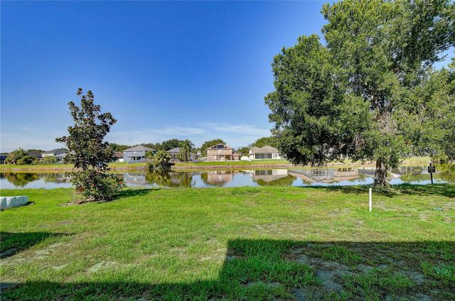 6919 TOWERING SPRUCE DR, Riverview, FL 33578