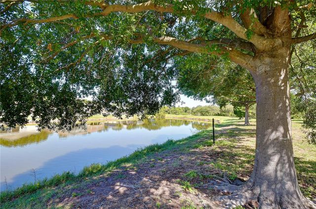 6919 TOWERING SPRUCE DR, Riverview, FL 33578