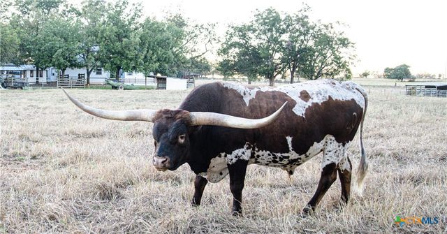 209 County Road 310, Rockdale, TX 76567