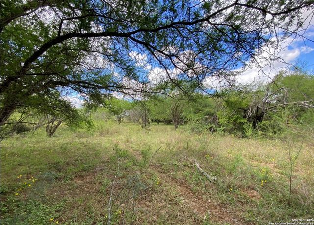 245 Buttercup Ln, Floresville, TX 78114